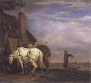 Two Drafthorses in Front of a Cottage (mk05), POTTER, Paulus